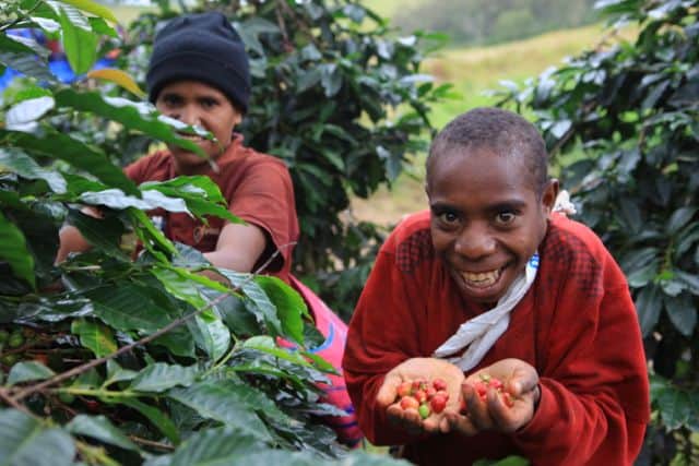 Papua New Guinea &quot;Sweet Cascades&quot; - Espresso